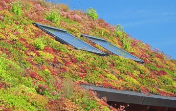 Penhalurick living roof systems