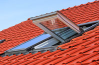 Penhalurick roof window